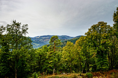 Similar image 11918932