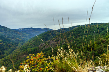 Similar image 11918934