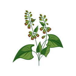 Similar image 11921552