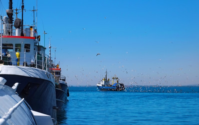 Similar image 11918836