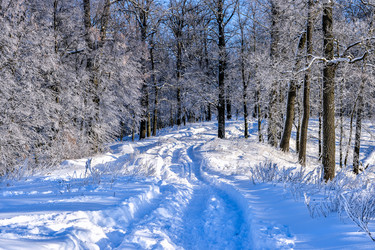 Similar image 11921084