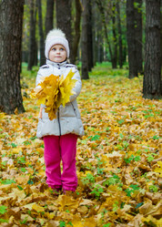 Similar image 11921086