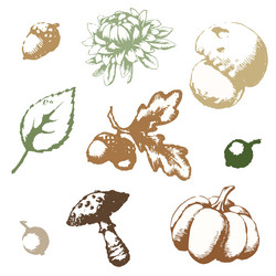 Similar image 11921613