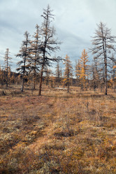 Similar image 11921882