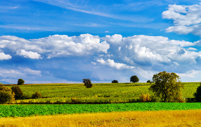 Similar image 11919437