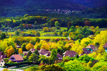 Similar image 11919438