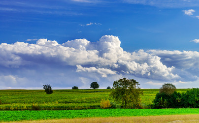 Similar image 11919449