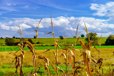 Similar image 11919452