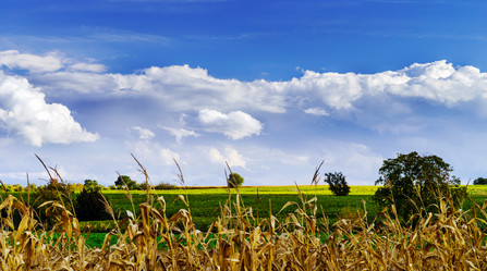 Similar image 11919454