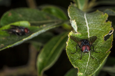 Similar image 11924703