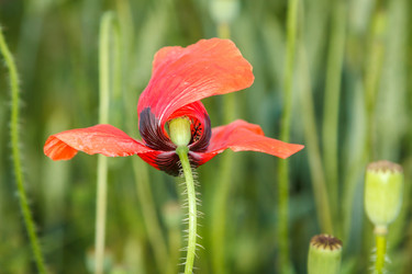 Similar image 11924704