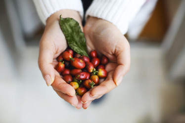 Similar image 11924263