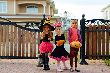 Similar image 11924406