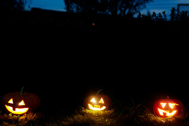 Similar image 11924410