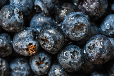 Similar image 11924639