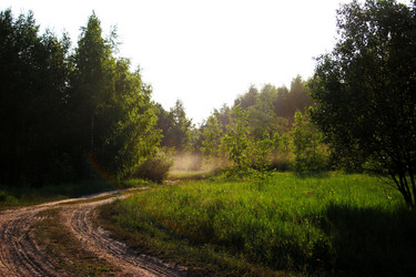 Similar image 11944902