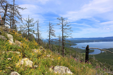 Similar image 11944906