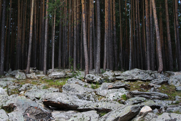 Similar image 11944907