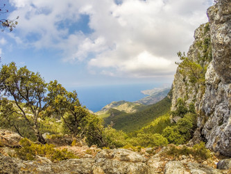 Similar image 11954080