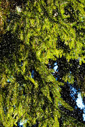 Similar image 11954106