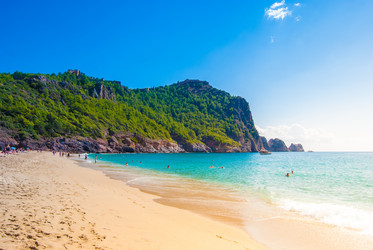 Similar image 11954484