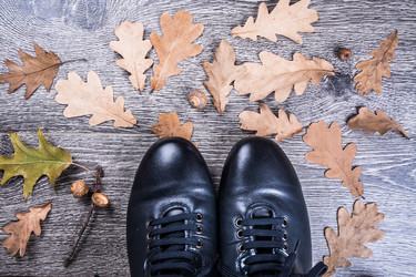 Similar image 11954556