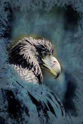 Similar image 11954704