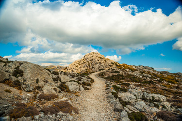 Similar image 11954733