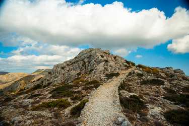 Similar image 11954721