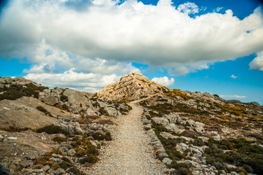 Similar image 11954824