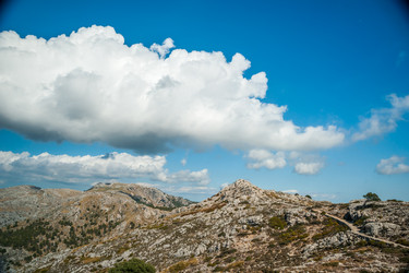 Similar image 11954850