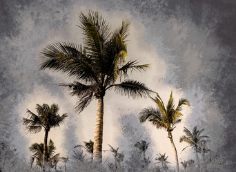 Similar image 11954910