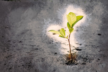 Similar image 11955440