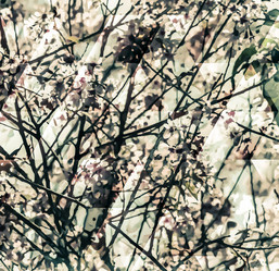 Similar image 11955496