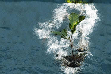 Similar image 11955583