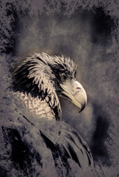 Similar image 11955650