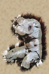 Similar image 11955815