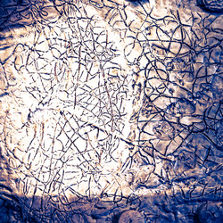 Similar image 11954932