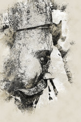 Similar image 11954953