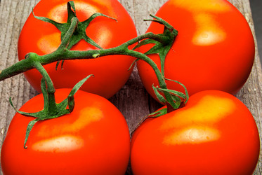 Similar image 11954209