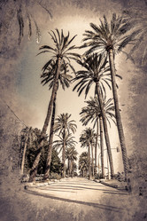 Similar image 11955474