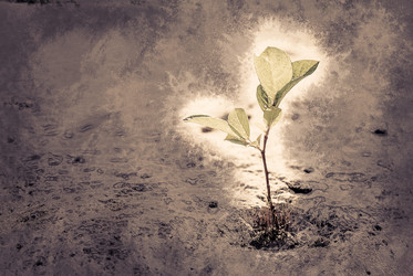 Similar image 11953968