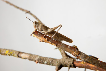 Similar image 11925294