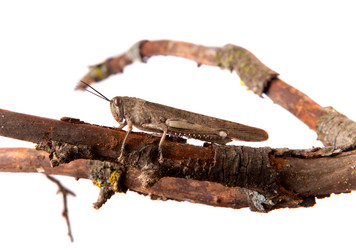 Similar image 11925295