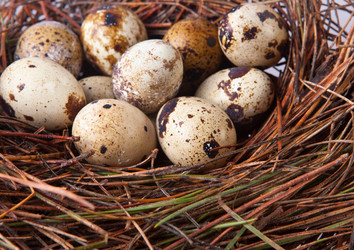 Similar image 11925297