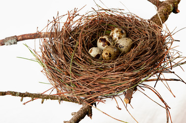 Similar image 11925298