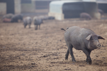 Similar image 11925458