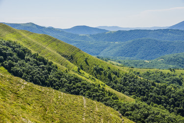 Similar image 11958246