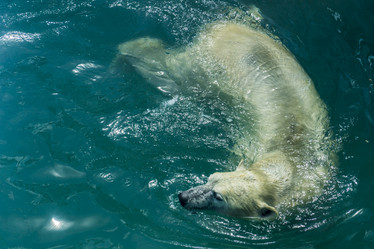 Similar image 11958256