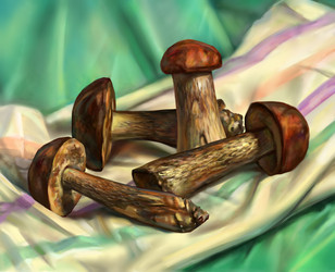 Similar image 11934687